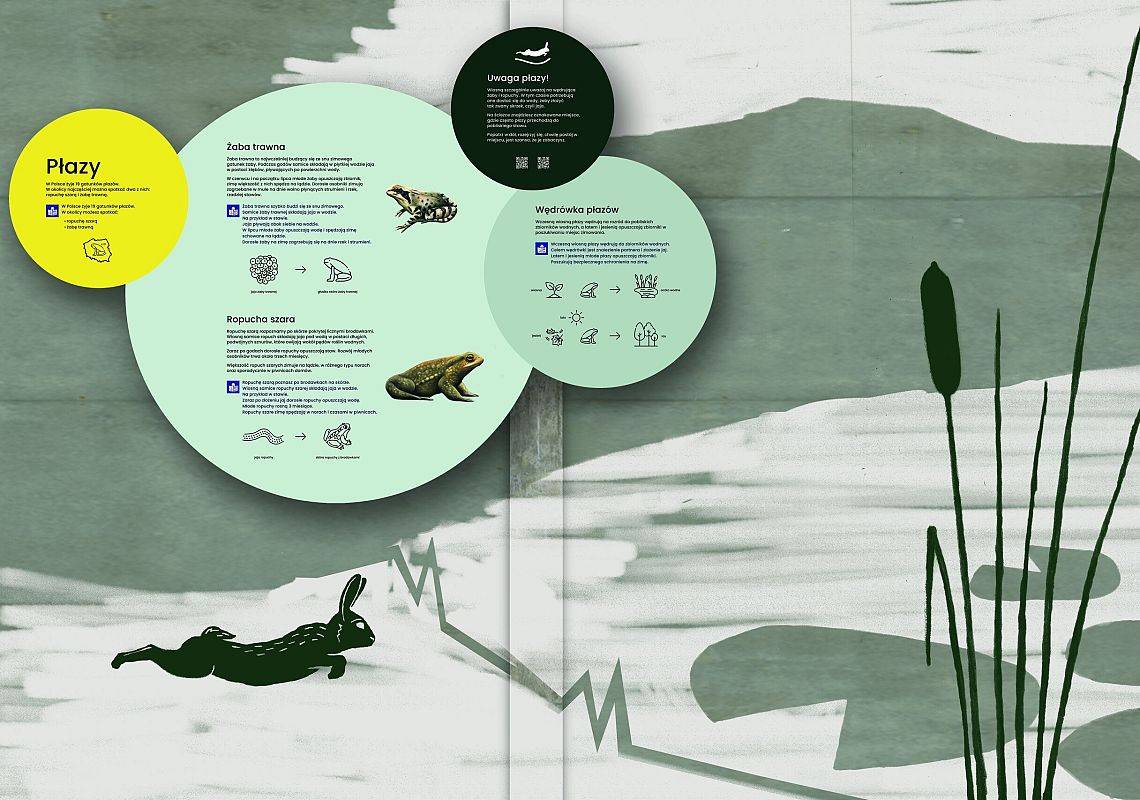 na grafice mural przedstawiający oczko wodne oraz przymocowane na jego tle tablice edukacyjne poświęcone płazom grafika