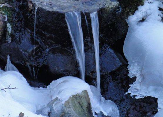 źródła potoku Torento w zimowej scenerii (fot. Dariusz Ożarowski) grafika