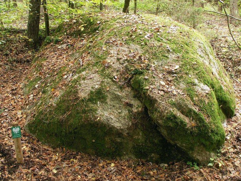 PP nr 94 "Diabelski Kamień" (fot. Dariusz Ożarowski)