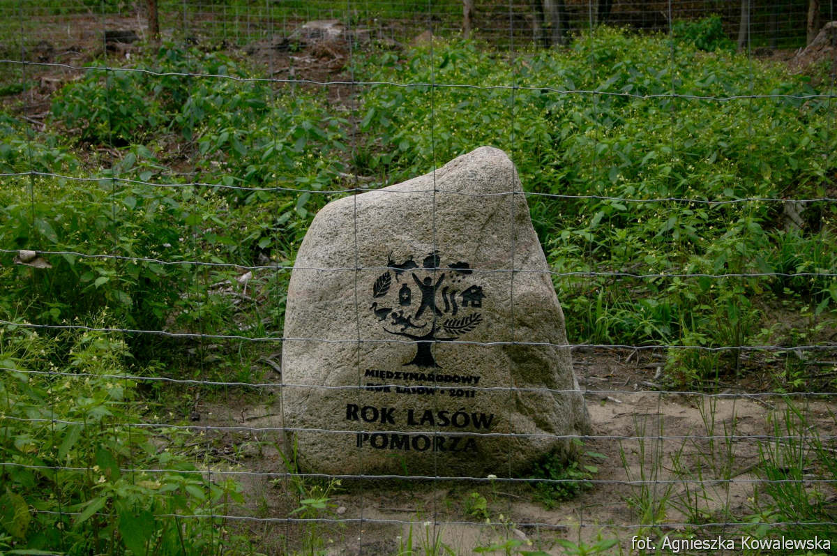 kamień upamiętniający Międzynarodowy Rok Lasów