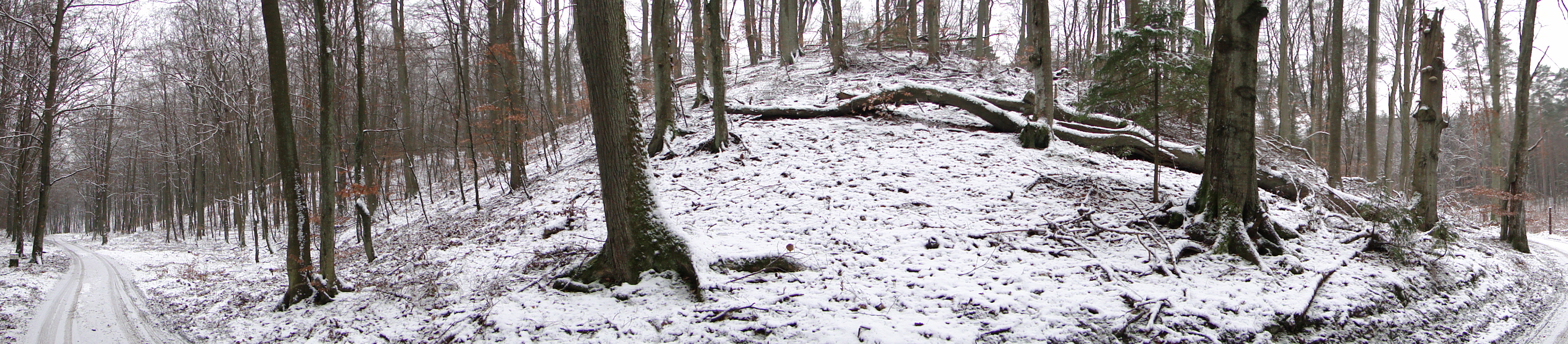 zimowy krajobraz (fot. Dariusz Ożarowski)