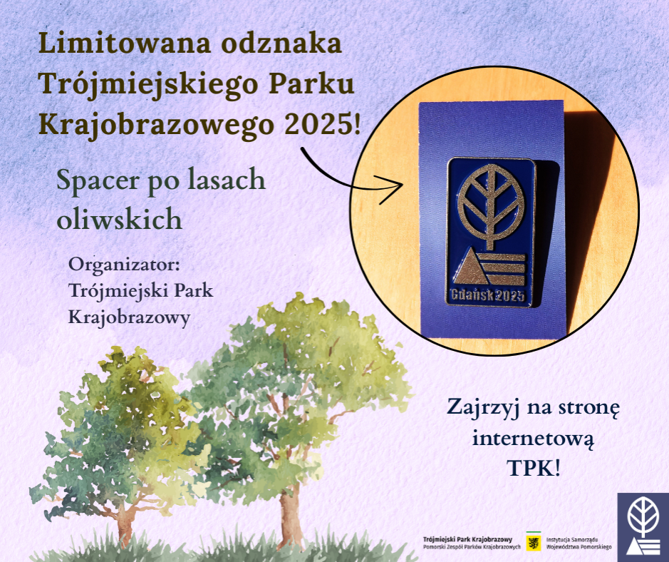 Plakat promujący limitowaną odznakę Trójmiejskiego Parku Krajobrazowego 2025. Na jasnofioletowym tle z akwarelową ilustracją drzew widnieje zdjęcie odznaki w kształcie logo Parku z napisem ‘Gdańsk 2025’. Tekst: ‘Limitowana odznaka Trójmiejskiego