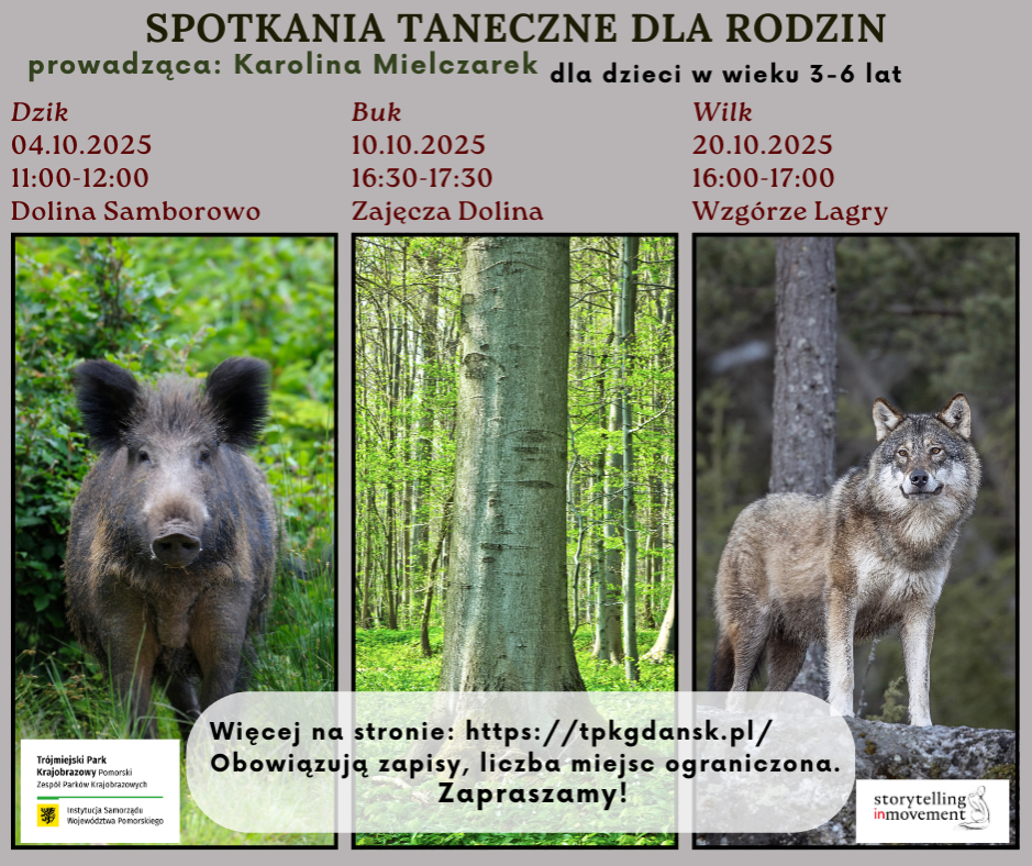 Spotkania taneczne dla rodzin Plakat zaprasza na wydarzenie taneczne dla rodzin organizowane przez Trójmiejski Park Krajobrazowy. Wydarzenie, prowadzone przez Karolinę Mielczarek, jest skierowane do dzieci w wieku 3-6 lat. W trzech różnych lokalizacjach odbędą się spotkania