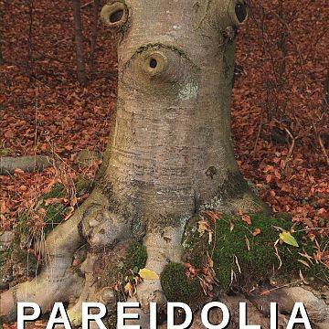 Zapraszamy do udziału w konkursie "Pareidolia w Naturze" grafika