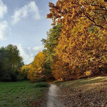 Zaproszenie na jesienny spacer w ramach cyklu: Cztery pory roku w Dolinie Samborowo. grafika