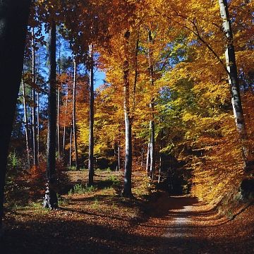 Konkurs fotograficzny "Mój Trójmiejski Park Krajobrazowy" grafika