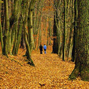 Trójmiejski Park Krajobrazowy w obiektywie grafika