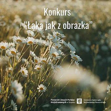 Grafika Łąka jak z obrazka – konkurs zielnikowy
