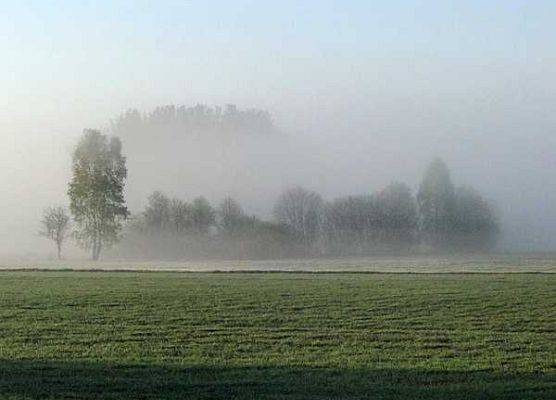 paranne mgły w okolicy Schodna (fot. Dariusz Ożarowski) grafika