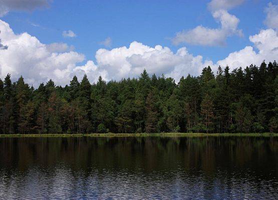 Jezioro Rąbówko - jeden ze zbiorników, nad którym gniazdują gągoły (fot. Dariusz Ożarowski) grafika