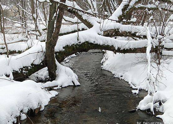 Grafika "Dolina Zagórskiej Strugi"