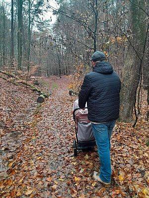 na zdjęciu: uczestnik wycieczki w trakcie spaceru po leśnej ścieżce (fot. Agnieszka Kowalewska) grafika