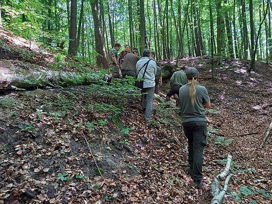 Na zdjęciu grupa osób w lesie. Stoją przy leżącym na zboczu, przewróconym drzewie (fot. Anna Moś) grafika