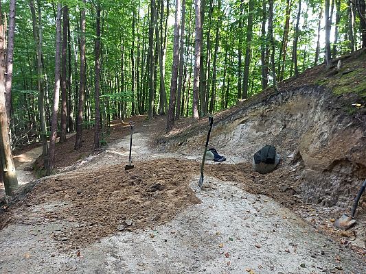 Grafika Czynny sprzeciw Służby Parku na wandalizm w lasach TPK
