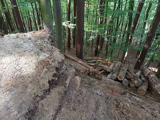 Grafika Czynny sprzeciw Służby Parku na wandalizm w lasach TPK