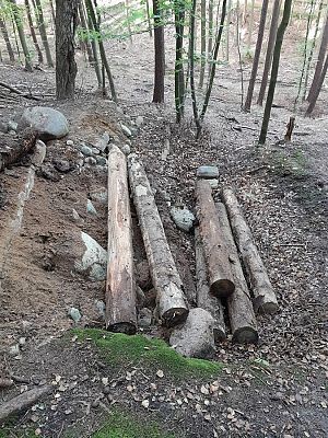 Grafika Czynny sprzeciw Służby Parku na wandalizm w lasach TPK