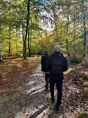 Na zdjęciu dwie osoby odwrócone tyłem, spacerujące po ścieżce w lesie.