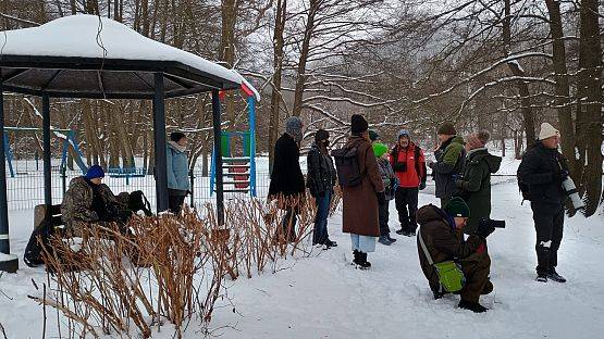 Grafika "Ptasia Godzinka" z Parkiem - wyniki liczenia