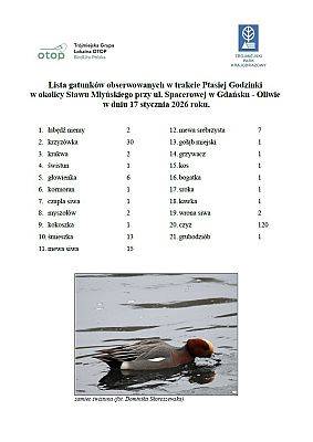 Grafika "Ptasia Godzinka" z Parkiem - wyniki liczenia