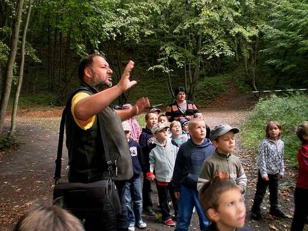 „Lasy to życie – chrońmy je” – zajęcia edukacyjne w Trójmiejskim Parku Krajobrazowym. grafika