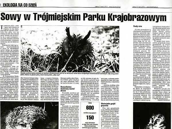 Sowy Trójmiejskiego Parku Krajobrazowego w prasie grafika