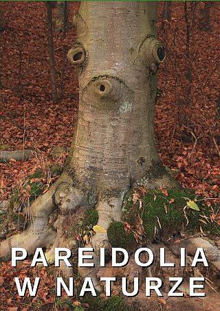 Zapraszamy do udziału w konkursie "Pareidolia w Naturze" grafika