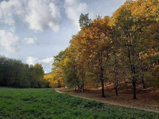 Grafika Zapraszamy na spacer z okazji Dnia Krajobrazu