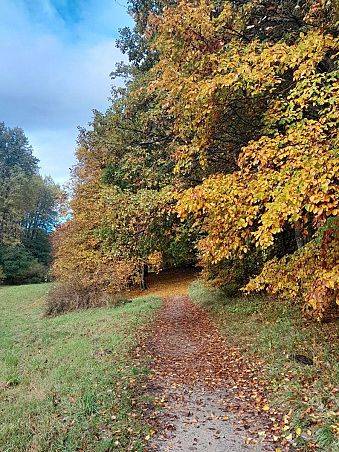 Grafika Dzień Krajobrazu w TPK – wrażenia po spacerze