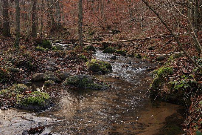 Grafika „Dolina Zagórskiej Strugi” uznana za rezerwat przyrody!